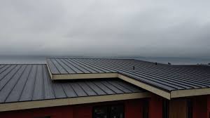 Best Roof Maintenance and Cleaning  in Monrovia, CA